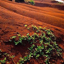 爆料称任天堂Switch 2卡带包装盒将会比初代更大